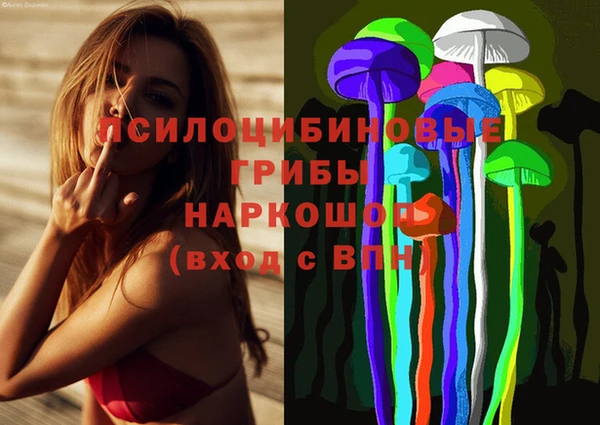 МДПВ Армянск