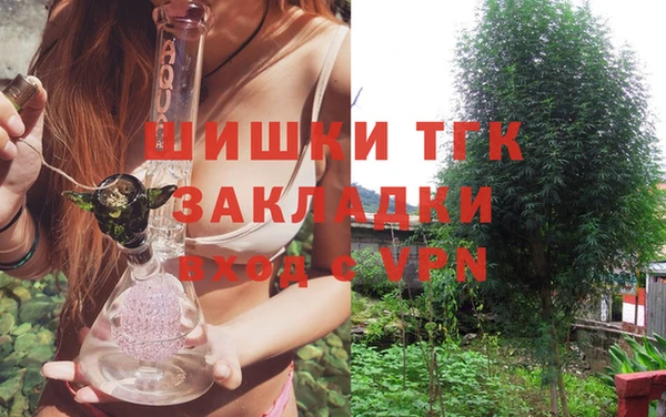 спиды Арсеньев