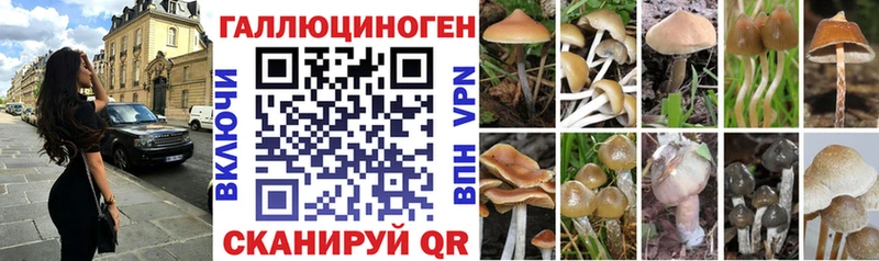 omg ссылка сколько стоит Пермь Галлюциногенные грибы Psilocybe