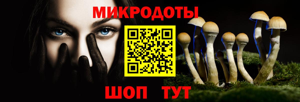 Пермь  Галлюциногенные грибы Psilocybe  Вход с VPN 